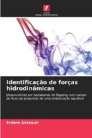 Identificação De Forças Hidrodinâmicas