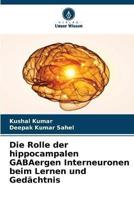 Die Rolle Der Hippocampalen GABAergen Interneuronen Beim Lernen Und Gedächtnis