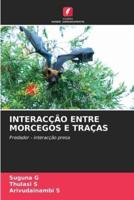 Interacção Entre Morcegos E Traças