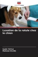 Luxation De La Rotule Chez Le Chien