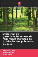 O Biochar De Gaseificação Em Escala Real Reduz Os Riscos De Lixiviação Dos Poluentes Do Solo