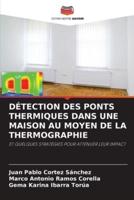 Détection Des Ponts Thermiques Dans Une Maison Au Moyen De La Thermographie