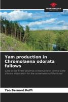 Yam Production in Chromolaena Odorata Fallows