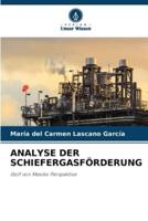 Analyse Der Schiefergasförderung