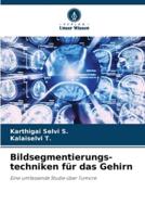 Bildsegmentierungs- Techniken Für Das Gehirn