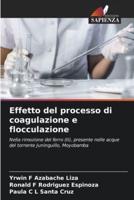 Effetto Del Processo Di Coagulazione E Flocculazione