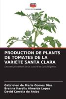 Production De Plants De Tomates De La Variété Santa Clara