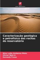 Caracterização Geológica E Petrofísica Das Rochas Do Reservatório