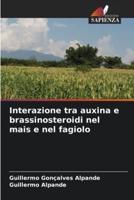 Interazione Tra Auxina E Brassinosteroidi Nel Mais E Nel Fagiolo