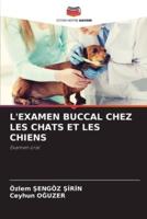 L'Examen Buccal Chez Les Chats Et Les Chiens