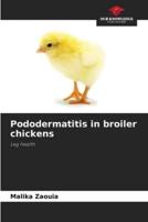 Pododermatitis in Broiler Chickens