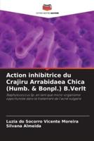 Action Inhibitrice Du Crajiru Arrabidaea Chica (Humb. & Bonpl.) B.Verlt