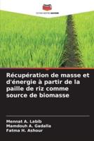 Récupération De Masse Et D'énergie À Partir De La Paille De Riz Comme Source De Biomasse