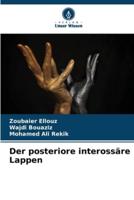 Der Posteriore Interossäre Lappen