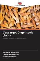L'escargot Omphiscola Glabra