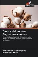 Cimice Del Cotone, Oxycarenus Laetus