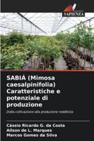 SABIÁ (Mimosa Caesalpinifolia) Caratteristiche E Potenziale Di Produzione
