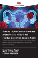 État De La Phosphorylation Des Protéines Au Niveau Des Résidus De Sérine Dans Le CaCu