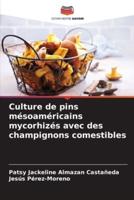 Culture De Pins Mésoaméricains Mycorhizés Avec Des Champignons Comestibles