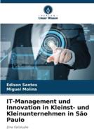 IT-Management Und Innovation in Kleinst- Und Kleinunternehmen in São Paulo