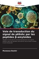 Voie De Transduction Du Signal De P66shc Par Les Peptides Β-Amyloïdes