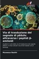 Via Di Trasduzione Del Segnale Di P66shc Attraverso I Peptidi Β-Amiloidi