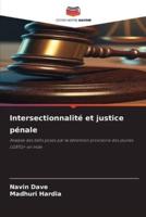 Intersectionnalité Et Justice Pénale