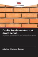 Droits Fondamentaux Et Droit Pénal