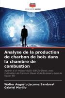 Analyse De La Production De Charbon De Bois Dans La Chambre De Combustion