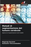 Metodi Di Segmentazione Del Tumore Cerebrale