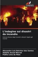 L'indagine Sui Disastri Da Incendio