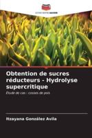 Obtention De Sucres Réducteurs - Hydrolyse Supercritique