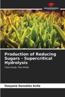 Production of Reducing Sugars - Supercritical Hydrolysis