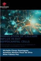 Modulation of Calcium Influx in Rat Hippocampal Cells