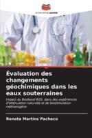 Évaluation Des Changements Géochimiques Dans Les Eaux Souterraines