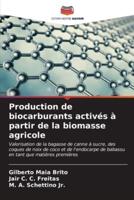 Production De Biocarburants Activés À Partir De La Biomasse Agricole