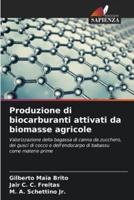 Produzione Di Biocarburanti Attivati Da Biomasse Agricole