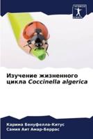 Изучение Жизненного Цикла Coccinella Algerica