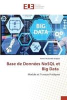 Base De Données NoSQL Et Big Data