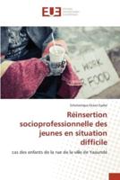 Réinsertion Socioprofessionnelle Des Jeunes En Situation Difficile