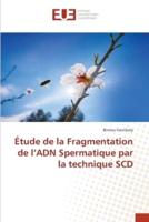 Étude De La Fragmentation De l'ADN Spermatique Par La Technique SCD