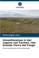 Umweltanalyse in Der Lagune Von Carmen, Isla Grande Tierra Del Fuego
