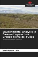 Environmental Analysis in Carmen Lagoon, Isla Grande Tierra Del Fuego