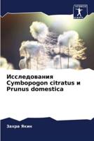 Исследования Cymbopogon Citratus И Prunus Domestica