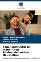 Familienstruktur in Männlichen Alleinerziehenden-Haushalten