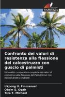 Confronto Dei Valori Di Resistenza Alla Flessione Del Calcestruzzo Con Guscio Di Palmisti