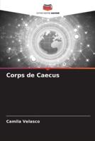 Corps De Caecus
