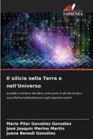 Il Silicio Nella Terra E nell'Universo