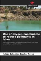 Use of Oxygen Nanobubble to Reduce Pollutants in Lakes