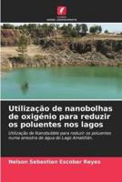 Utilização De Nanobolhas De Oxigénio Para Reduzir Os Poluentes Nos Lagos